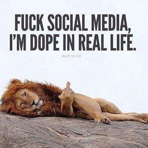 Meet your Posher, Steffani